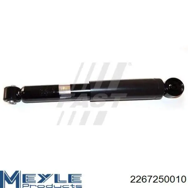 Купить 51857842 Fiat/Alfa/Lancia Амортизатор задней подвески