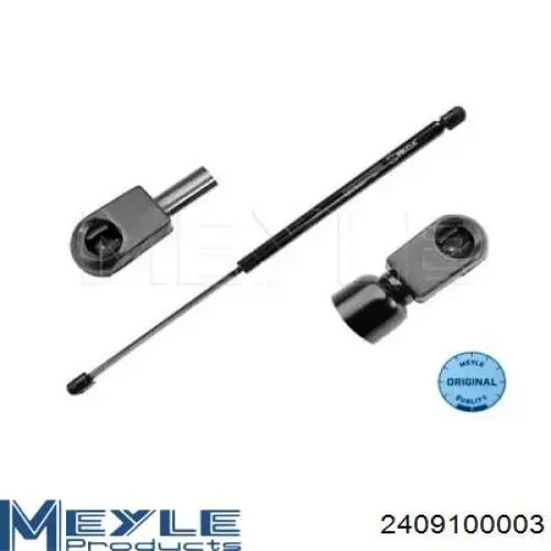 AE-FT-002 NTY амортизатор двери пятой