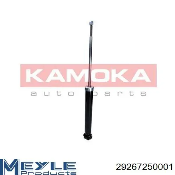 Купить FR461891 ASM Амортизатор задней подвески