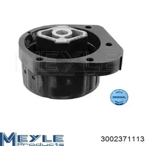 3002371113 Meyle