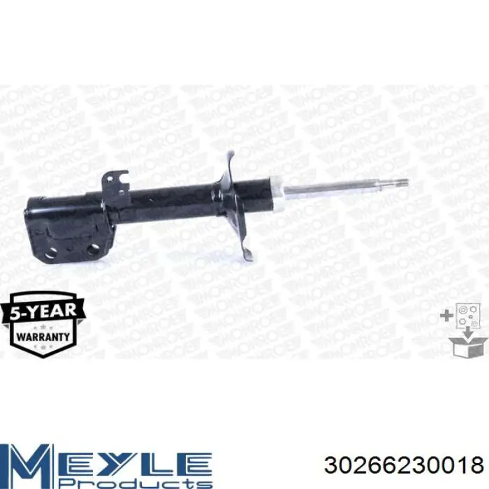 Амортизатор передний левый RS317121 Raiso
