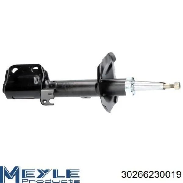 Амортизатор передний правый RS317122 Raiso