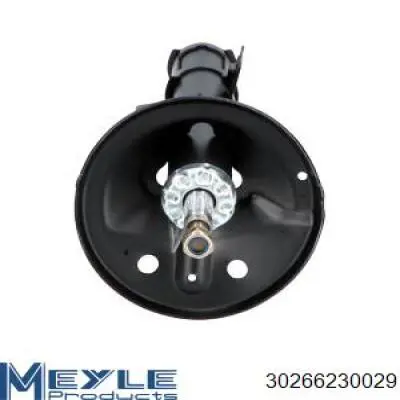 RS313808 Raiso Амортизатор передней подвески правый