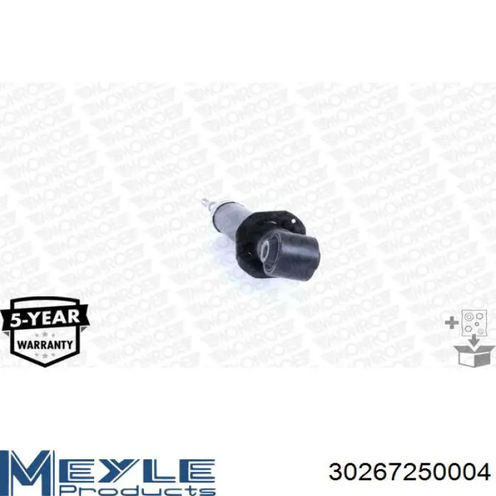RS315960 Raiso Амортизаторы задние