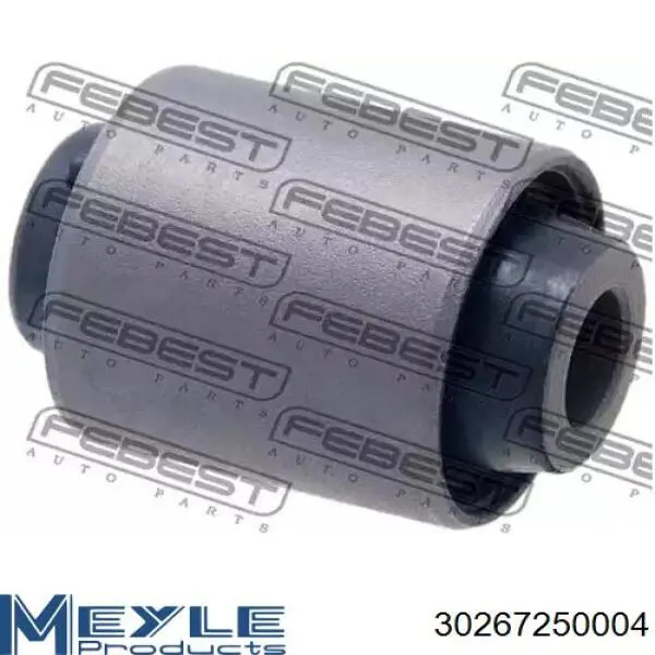 Стойка амортизатора задняя Raiso RS315960 цена, от 25.85 USD