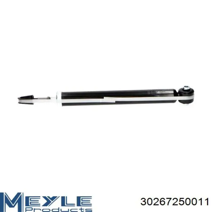 Амортизатор задний, правый Raiso RS318508 цена, от 22.07 USD