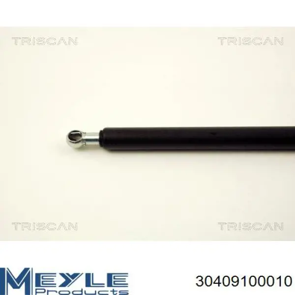 Амортизатор багажника GS0120 Magneti Marelli