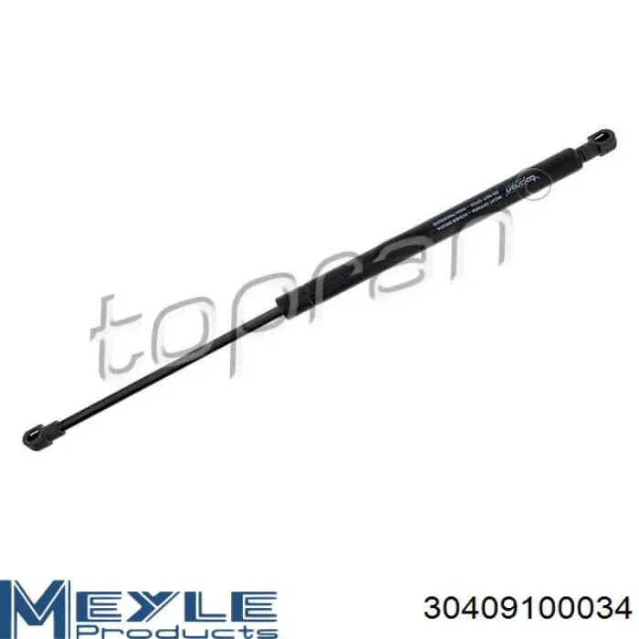 GS0842 Magneti Marelli Амортизатор крышки багажника