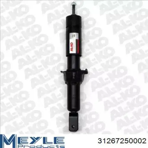 Амортизатор задний RS317138 Raiso