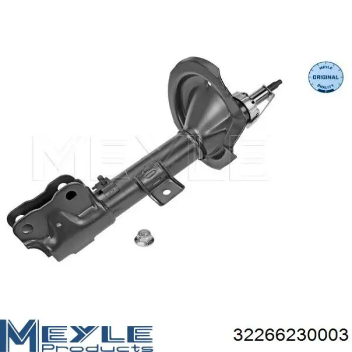 Амортизатор передний левый RS316994 Raiso