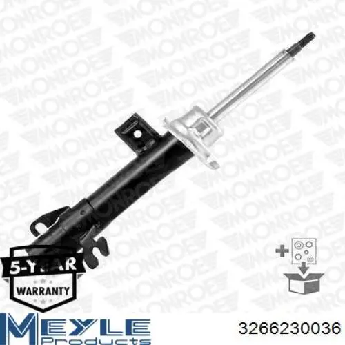 Амортизатор передний левый RS290237 Raiso