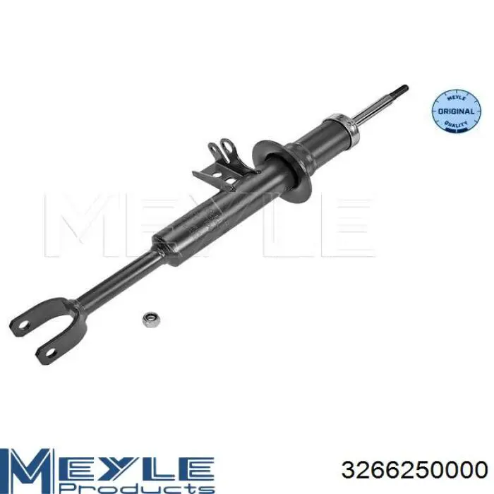 Амортизатор передней подвески левой Raiso RS314874 цена, от 37.01 USD