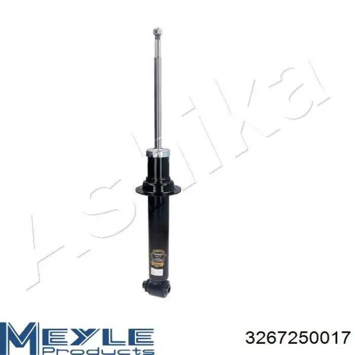 Стойка амортизатора задняя Raiso RS310245 цена, от 33.65 USD