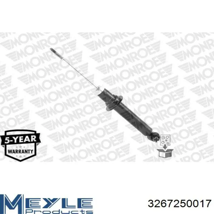 RS310245 Raiso Амортизаторы задние