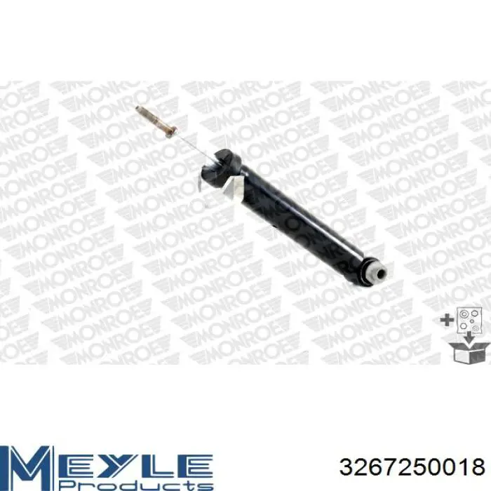 RS310477 Raiso Амортизаторы задние