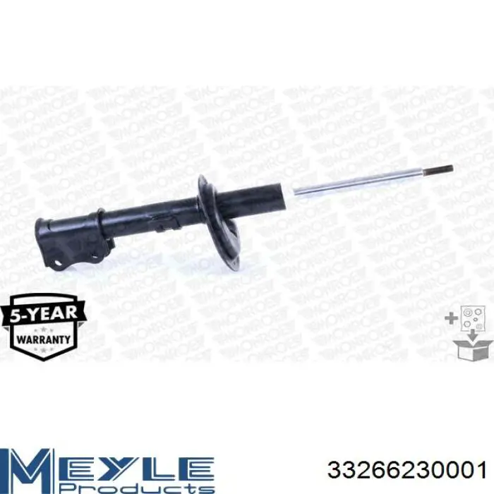 RS313660 Raiso Амортизатор передний левый