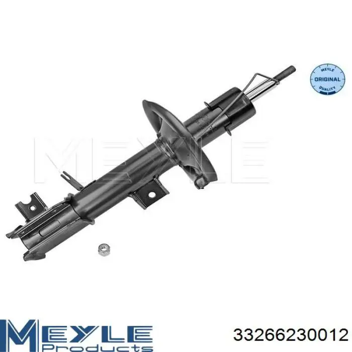 Амортизатор передний левый RS312819 Raiso
