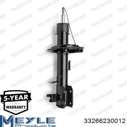 RS312819 Raiso Амортизатор передний левый
