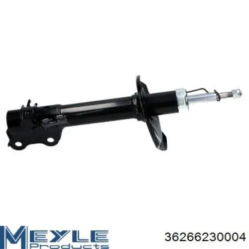 Амортизатор передней подвески левой Raiso RS317157 цена, от 38.80 USD