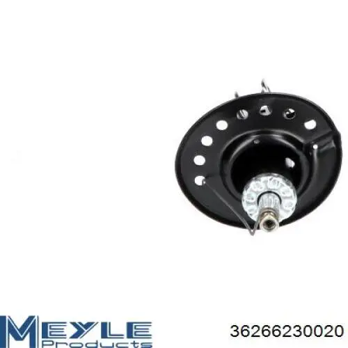 RS339755 Raiso Амортизатор передний левый