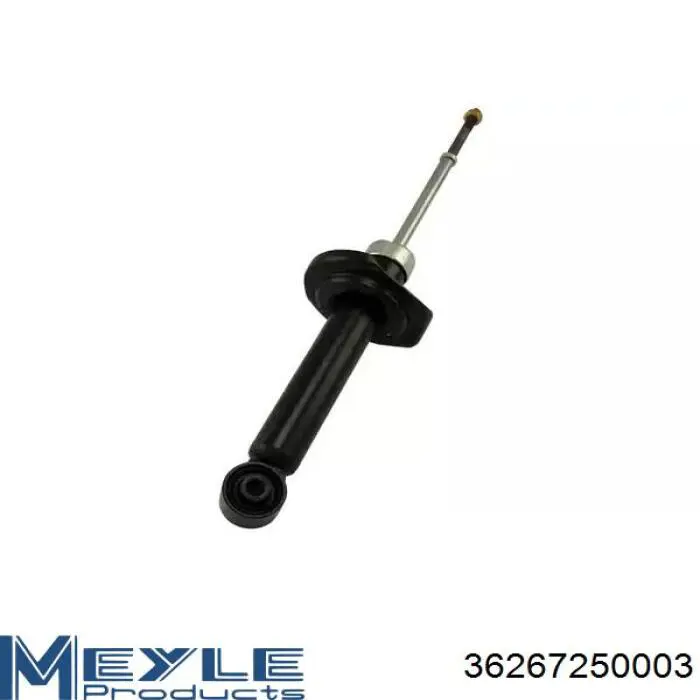 RS312761 Raiso Амортизаторы задние