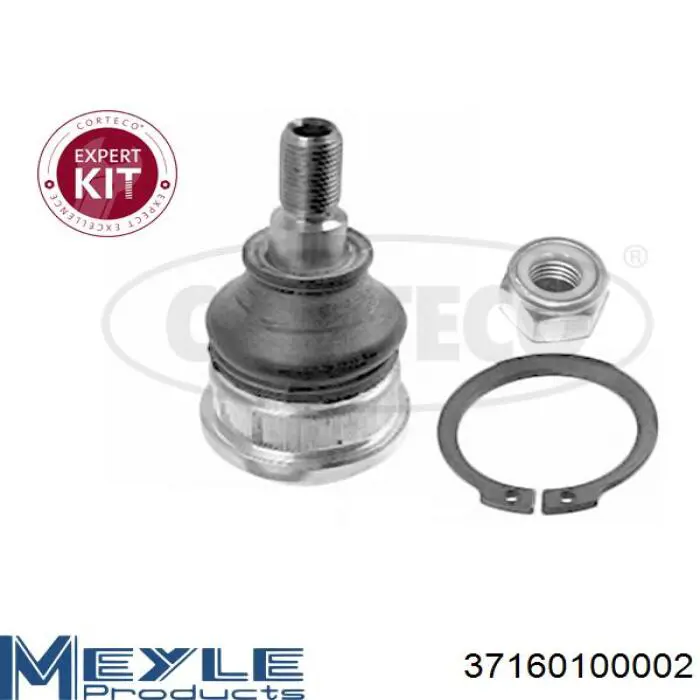 Шаровая опора, нижняя Raiso RL503316H цена, от 7.86 USD
