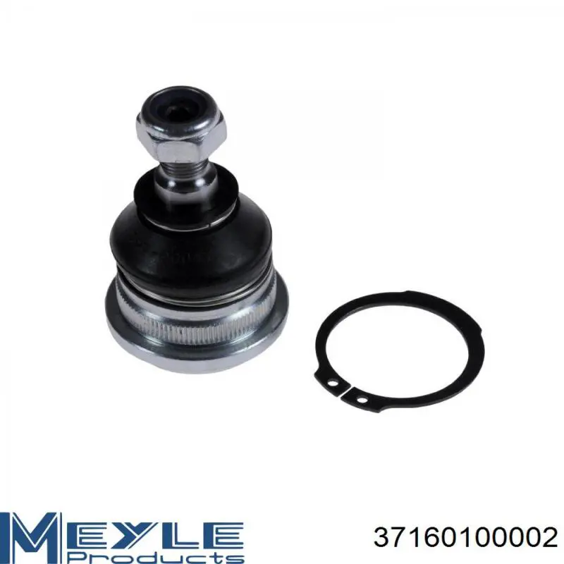 Купить RL503316H Raiso Нижняя шаровая опора