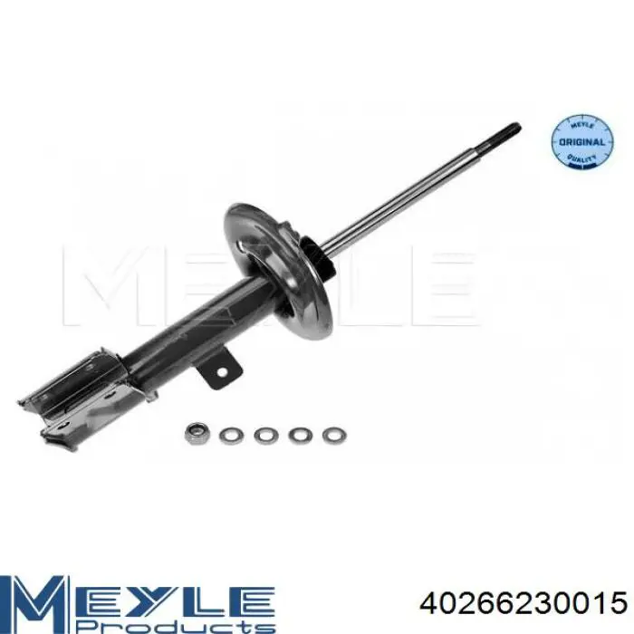 Амортизатор передней подвески левой Raiso RS314886 цена, от 35.80 USD