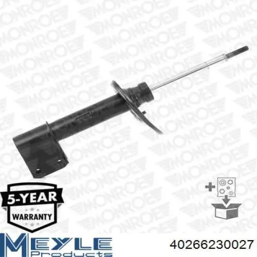 Амортизатор подвески передний левый Raiso RS315989 цена, от 41.43 USD