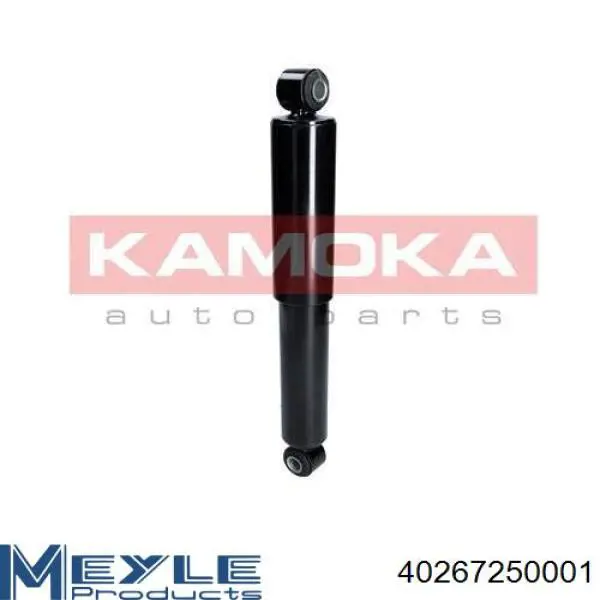 Амортизатор задний RS280979 Raiso