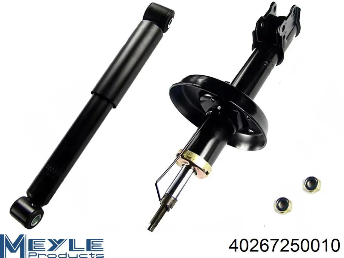 Compre RS314934 Raiso Amortecedor traseiro