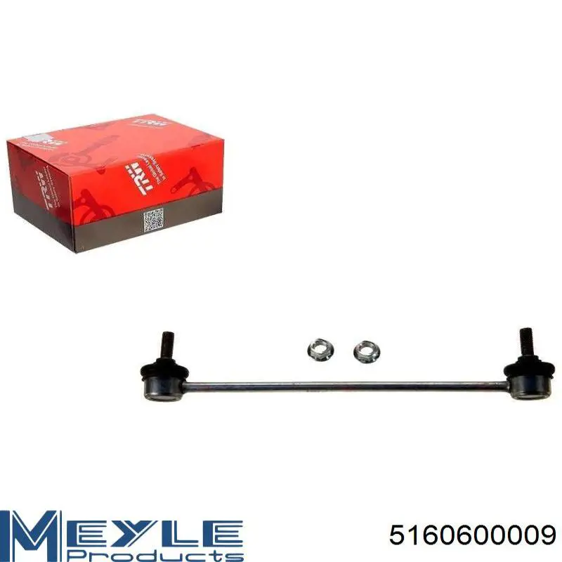 Купить RL308841V Raiso Амортизационная стойка