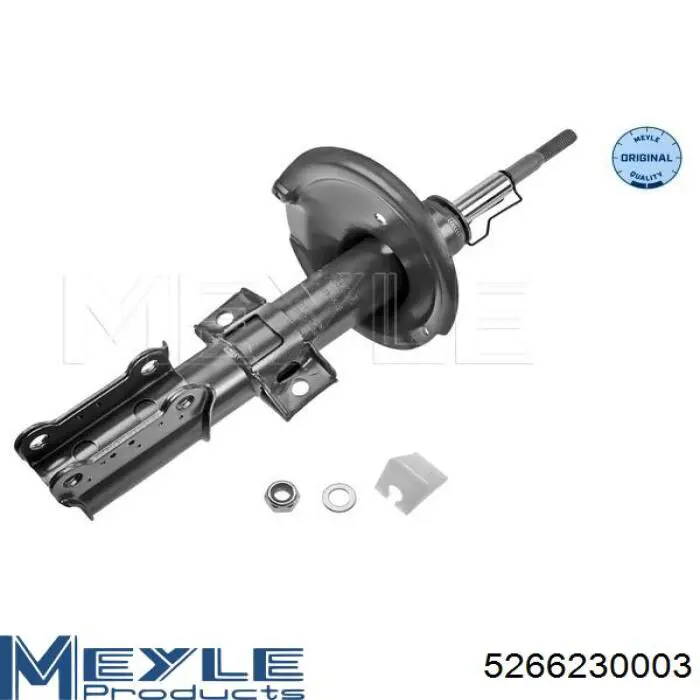 Купить RS554046 Raiso Амортизатор передней подвески