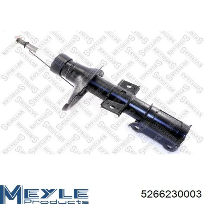 Амортизатор передний RS554046 Raiso