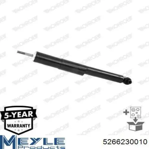 Купить RS314125 Raiso Амортизатор передней подвески