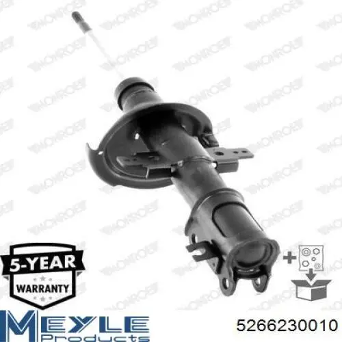 Амортизатор передний RS314125 Raiso