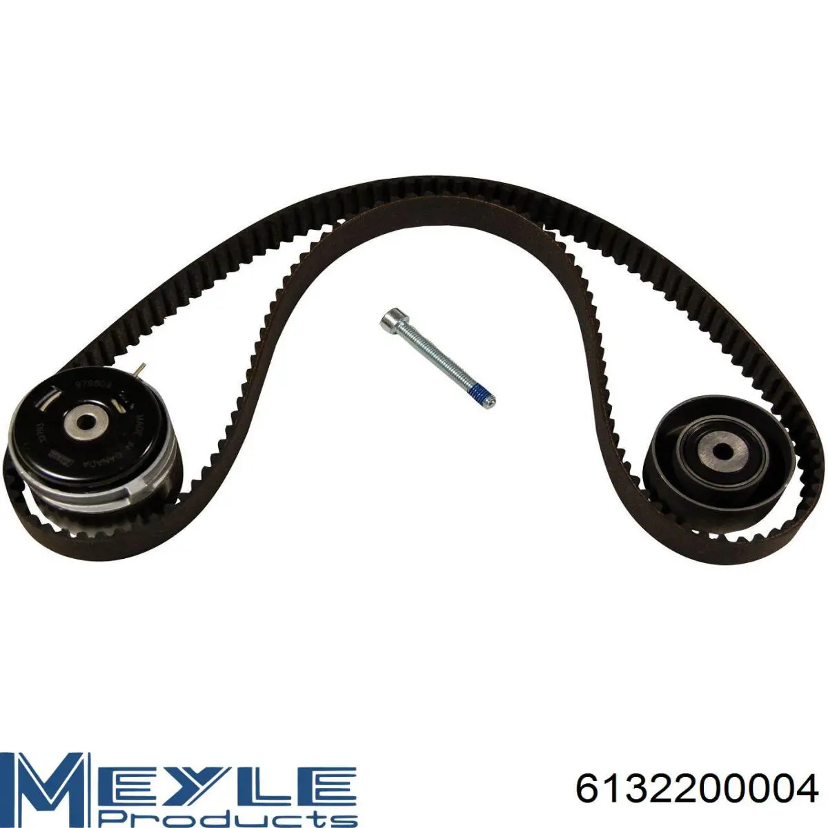 6132200004 Meyle