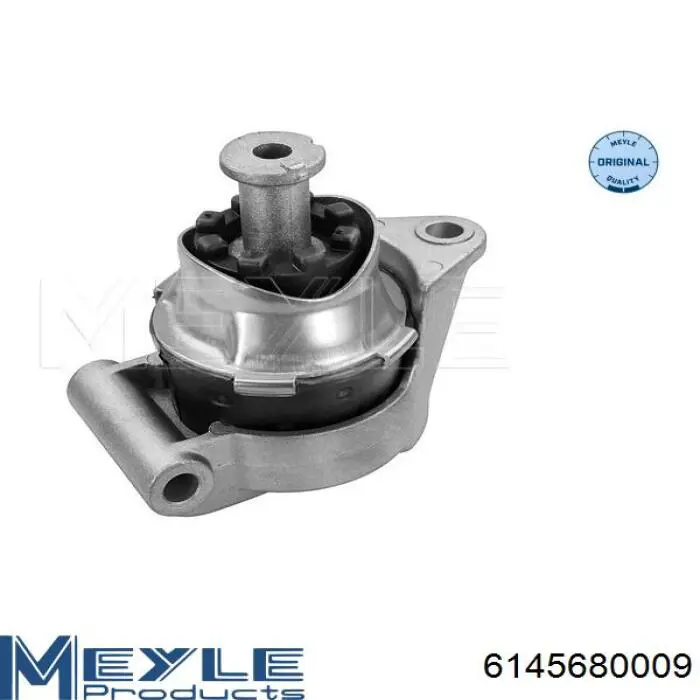 Coxim (suporte) traseiro de motor 24427641 Opel