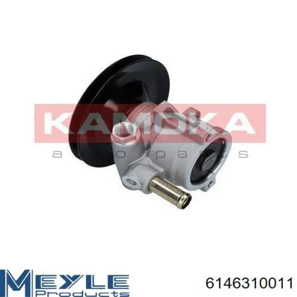 Насос гидравлики Renault (RVI) 491105169R цена, от 66.92 USD