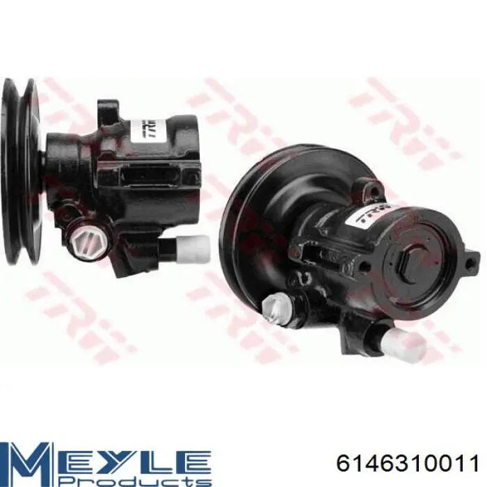 Купить 491105169R Renault (RVI) Насос рулевого управления