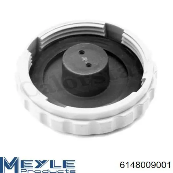 6148009001 Meyle