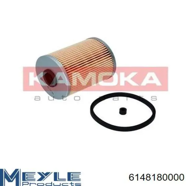 Топливный фильтр FE231D Shafer