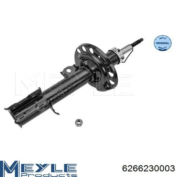 RS290385 Raiso Амортизатор передней подвески правый
