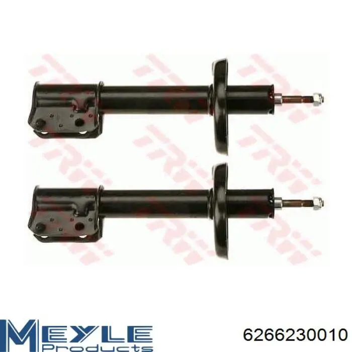 Амортизатор передний RS110256 Raiso