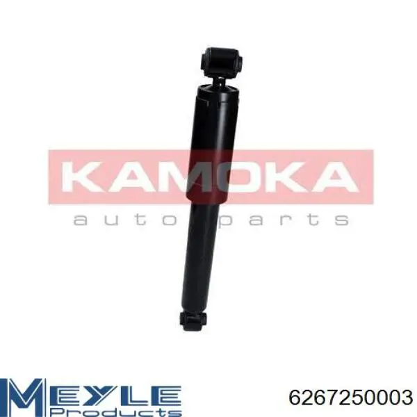 Стойка амортизатора задняя Record 004423 цена, от 25.82 USD