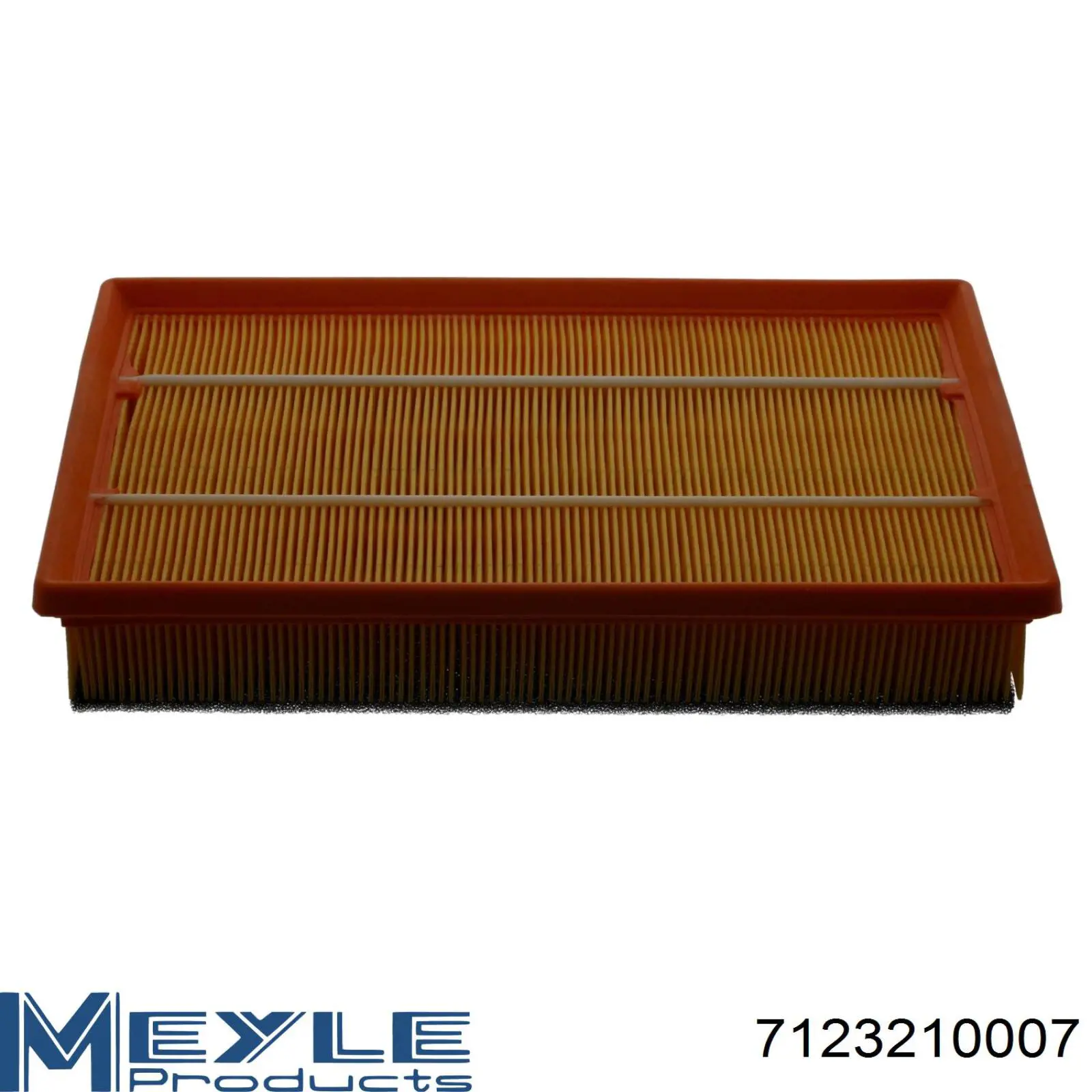 FS1305 DP Group Воздушный фильтр двигателя