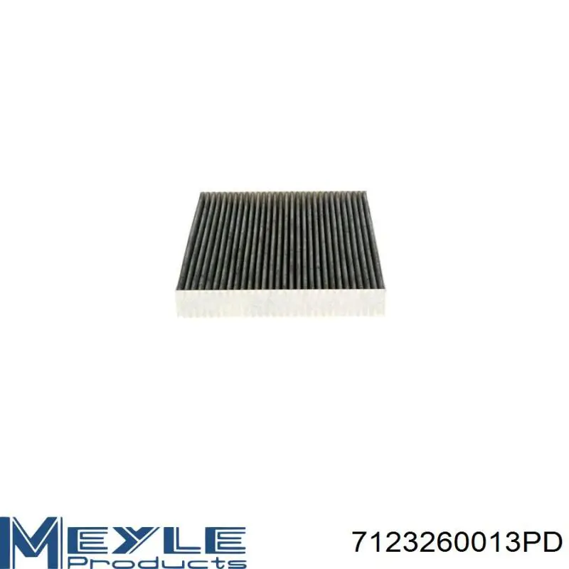 Купить SA28009 Shafer Фильтр салона угольный