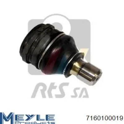 Купить RD99351737309 Rider Нижняя шаровая опора