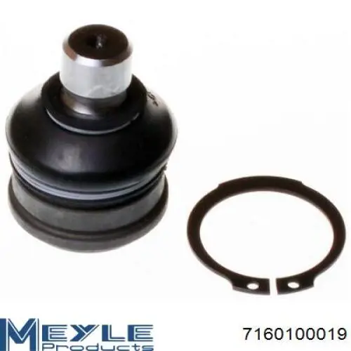 RD99351737309 Rider Палец шаровой нижний