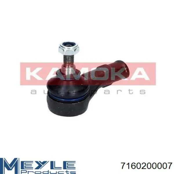 Купить RL110015F Raiso Наконечник рулевой тяги, внешний